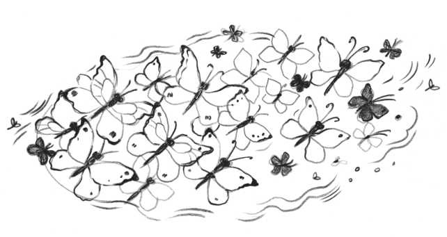 Иллюстрация к книге — Айрислин - небесный слон [i_011.jpg]