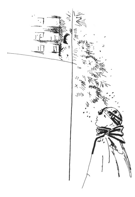 Иллюстрация к книге — Я плюс все [i_061.jpg]