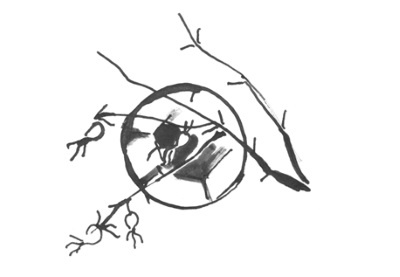 Иллюстрация к книге — Я плюс все [i_080.jpg]