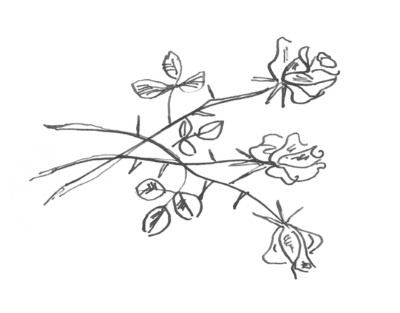 Иллюстрация к книге — Я плюс все [i_090.jpg]