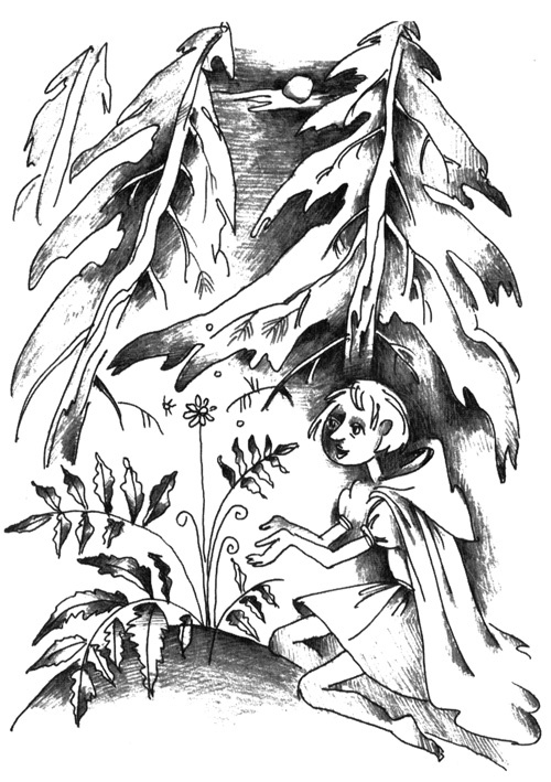 Иллюстрация к книге — Асино лето [i_008.jpg]