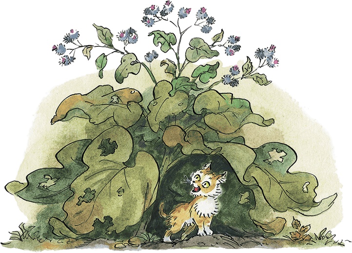 Иллюстрация к книге — Дом с колокольчиком [i_077.jpg]