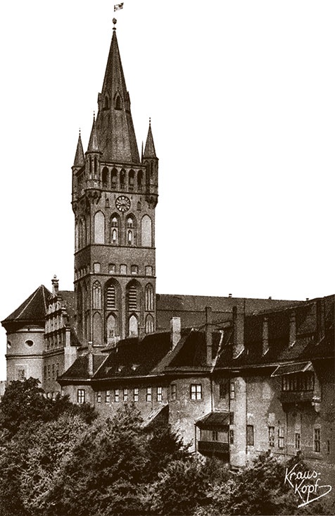 Иллюстрация к книге — Щит и меч Кенигсберга. Альбом [i_010.jpg]