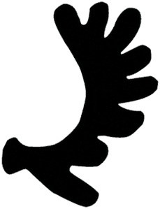 Иллюстрация к книге — Щит и меч Кенигсберга. Альбом [i_141.jpg]