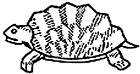 Иллюстрация к книге — Щит и меч Кенигсберга. Альбом [i_193.jpg]