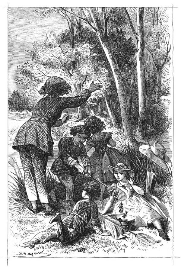 Иллюстрация к книге — Маленький горбун [i_005.jpg]