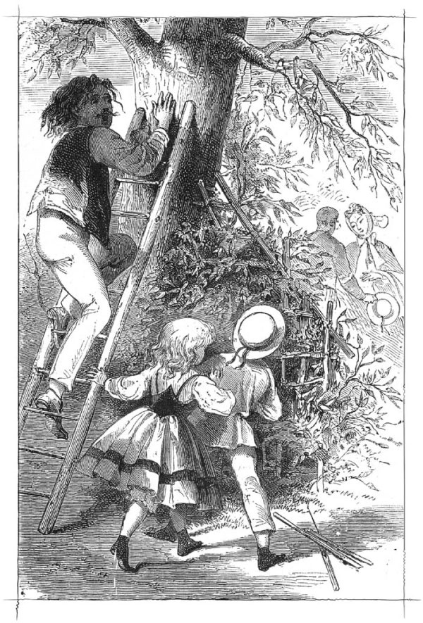 Иллюстрация к книге — Маленький горбун [i_013.jpg]