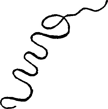 Иллюстрация к книге — А 259. Всплеск ярости [image5.jpg]