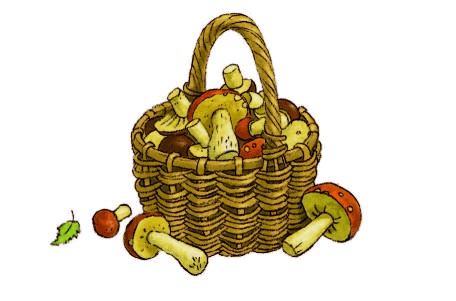 Иллюстрация к книге — Счастье Муры [_18.jpg]