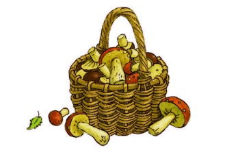 Иллюстрация к книге — Счастье Муры [_25.jpg]