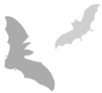 Иллюстрация к книге — Трое в подземелье [i_006.jpg]