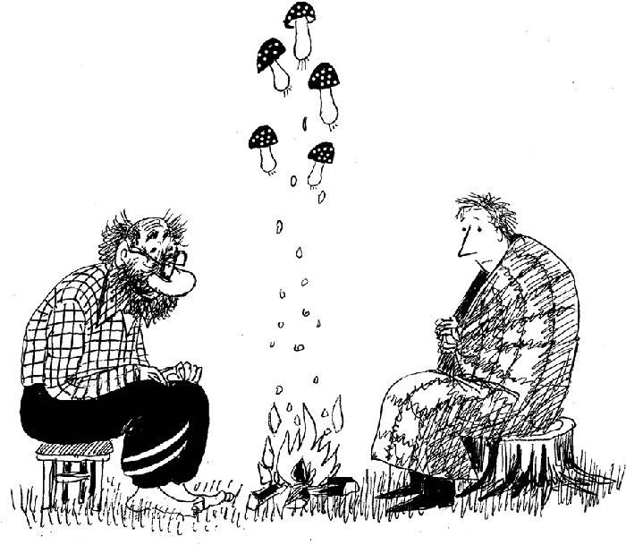 Иллюстрация к книге — Красные огурцы [img6F1D.jpg]