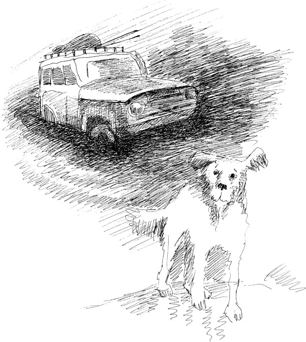 Иллюстрация к книге — Митя Тимкин, второклассник [i_030.jpg]