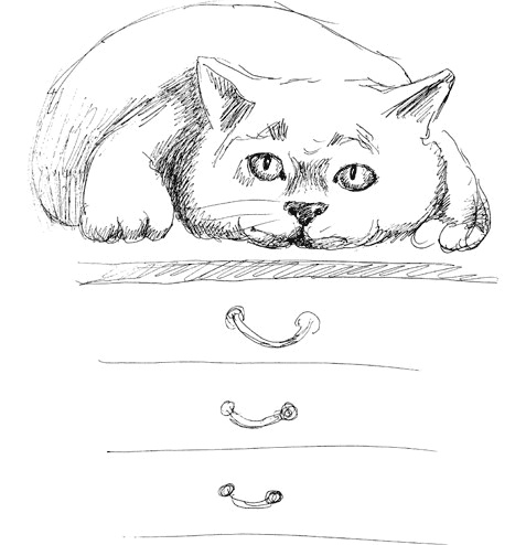 Иллюстрация к книге — Митя Тимкин, второклассник [i_045.jpg]