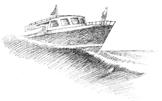 Иллюстрация к книге — Митя Тимкин, второклассник [i_069.jpg]