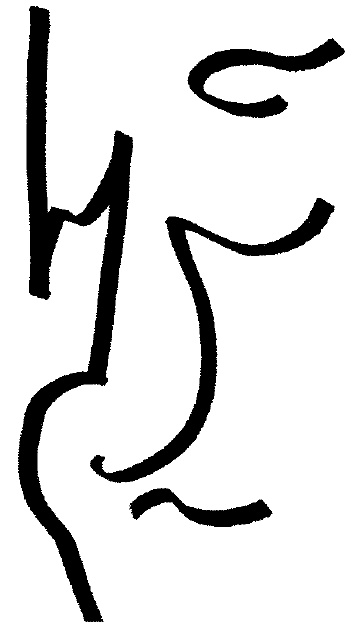 Иллюстрация к книге — Женский ум в проекте жизни [i_014.jpg]