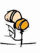 Иллюстрация к книге — Это всё для красоты [i_024.jpg]