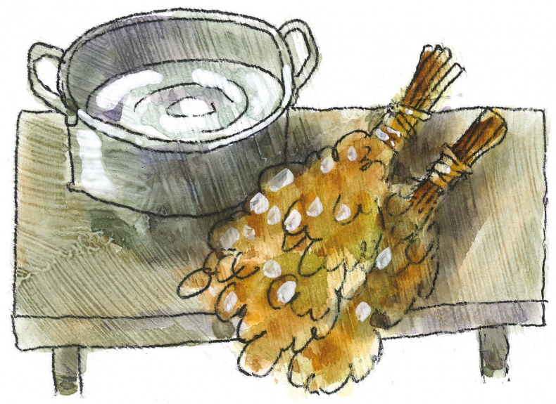 Иллюстрация к книге — Санитарка [image0_55e42df5acb2e9327517bc50_jpg.jpg]