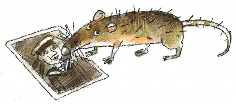 Иллюстрация к книге — Санитарка [image15_55e4305bacb2e9327517bd72_jpg.jpg]