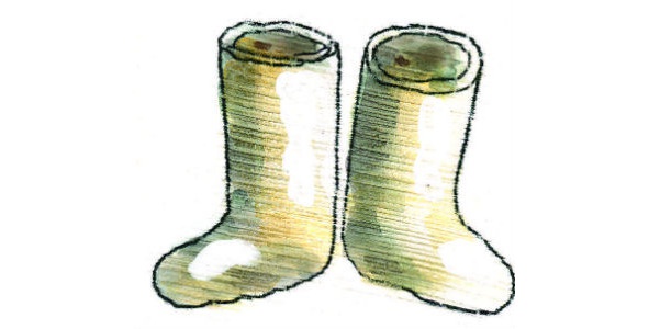 Иллюстрация к книге — Санитарка [image23_55e44512acb2e9327517c6f2_jpg.jpg]