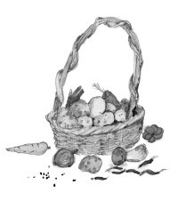 Иллюстрация к книге — Француженки не крадут шоколад [i_027.jpg]