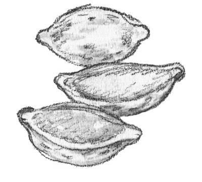 Иллюстрация к книге — Француженки не крадут шоколад [i_036.jpg]