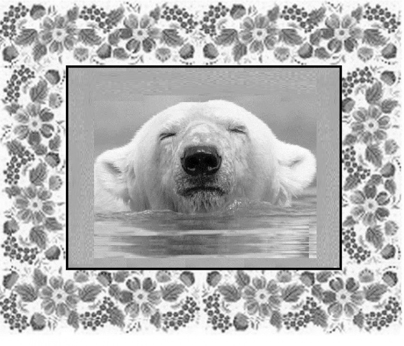 Иллюстрация к книге — Почемучкины сказки [image0_55d97e49ab44b42b3231a972_jpg.jpg]