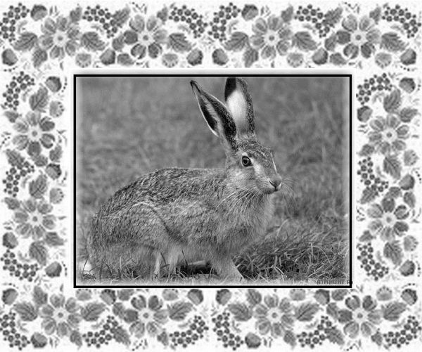 Иллюстрация к книге — Почемучкины сказки [image13_55dab306ab44b42b3231d1e0_jpg.jpg]