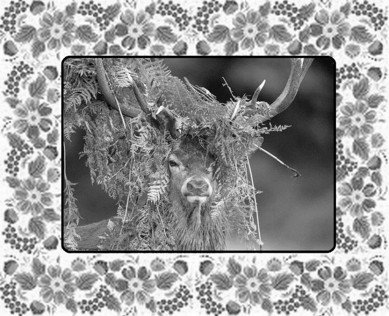 Иллюстрация к книге — Почемучкины сказки [image6_55d9e2e3ab44b42b3231bd3d_jpg.jpg]