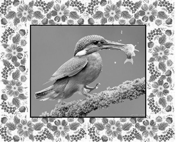 Иллюстрация к книге — Почемучкины сказки [image7_55d9e5a3ab44b42b3231bdd4_jpg.jpg]