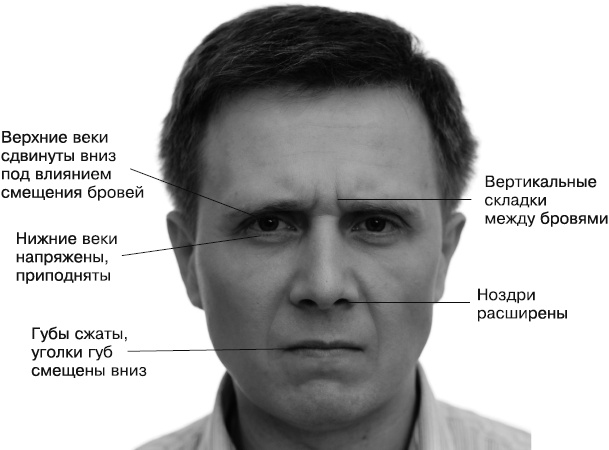 Иллюстрация к книге — Психология лжи и обмана. Как разоблачить лжеца [i_033.jpg]