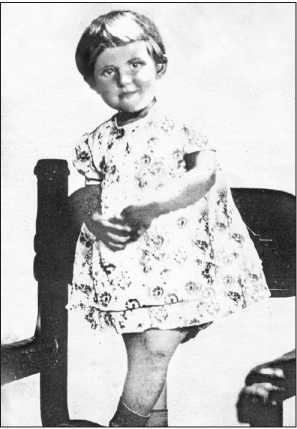 Иллюстрация к книге — Блокадные будни одного района Ленинграда [i_013.jpg]