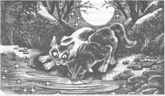 Иллюстрация к книге — Коты-воители. Главная надежда [pic_10.jpg]