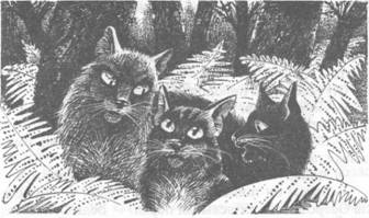 Иллюстрация к книге — Коты-воители. Главная надежда [pic_12.jpg]
