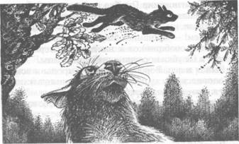 Иллюстрация к книге — Коты-воители. Главная надежда [pic_28.jpg]