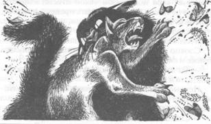 Иллюстрация к книге — Коты-воители. Главная надежда [pic_32.jpg]