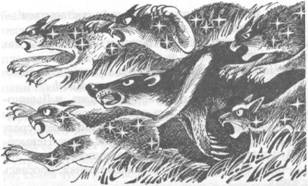 Иллюстрация к книге — Коты-воители. Главная надежда [pic_52.jpg]