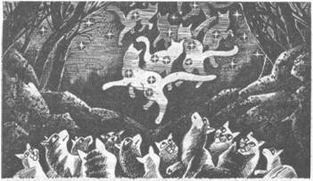 Иллюстрация к книге — Коты-воители. Главная надежда [pic_58.jpg]