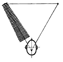 Иллюстрация к книге — Разблокируй свою память. Запомни все! [i_021.jpg]