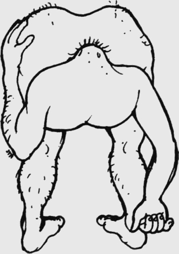 Иллюстрация к книге — Почему мужчины врут, а женщины ревут [image012.jpg]