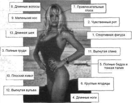 Иллюстрация к книге — Почему мужчины врут, а женщины ревут [image017.jpg]