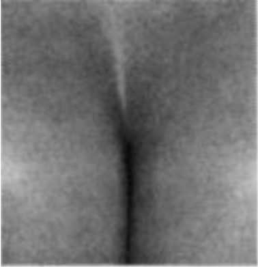 Иллюстрация к книге — Почему мужчины врут, а женщины ревут [image018.jpg]