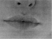 Иллюстрация к книге — Почему мужчины врут, а женщины ревут [image030.jpg]