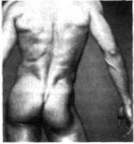 Иллюстрация к книге — Почему мужчины врут, а женщины ревут [image041.jpg]