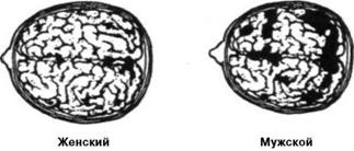 Иллюстрация к книге — Почему мужчины врут, а женщины ревут [image051.jpg]