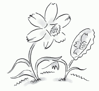 Иллюстрация к книге — Дети и деньги. Что разрешать, как запрещать, к чему готовиться [i_007.jpg]