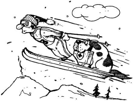 Иллюстрация к книге — Жизнь в полете. Пособие по развитию уверенности в себе [i_006.jpg]