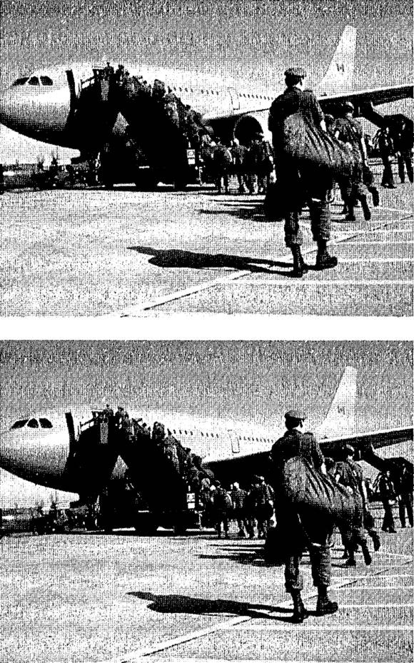 Иллюстрация к книге — Мозг и душа. Как нервная деятельность формирует наш внутренний мир [i_018.jpg]