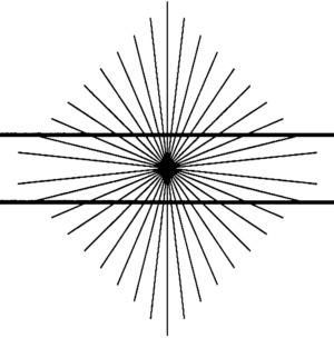 Иллюстрация к книге — Мозг и душа. Как нервная деятельность формирует наш внутренний мир [i_022.jpg]