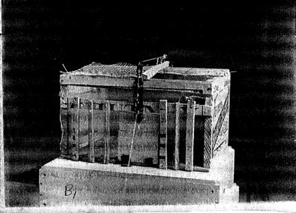 Иллюстрация к книге — Мозг и душа. Как нервная деятельность формирует наш внутренний мир [i_038.jpg]